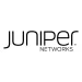 juniper